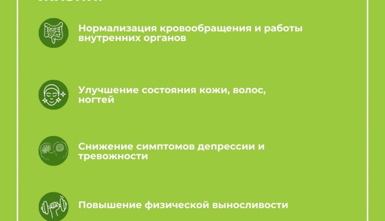 WhatsApp Image 2024-05-06 at 11.05.05 (1)